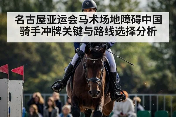equestrian show jumping